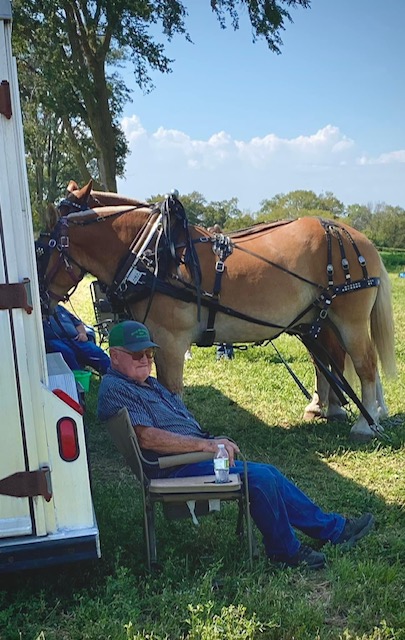 Horse pull 4