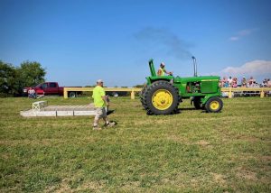 Horse pull 5