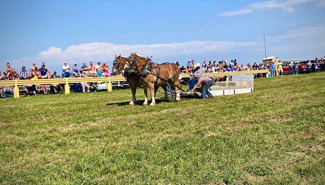 Horse pull