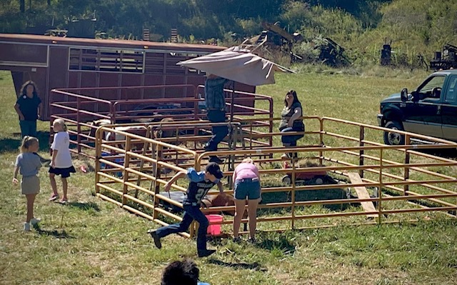 Petting zoo