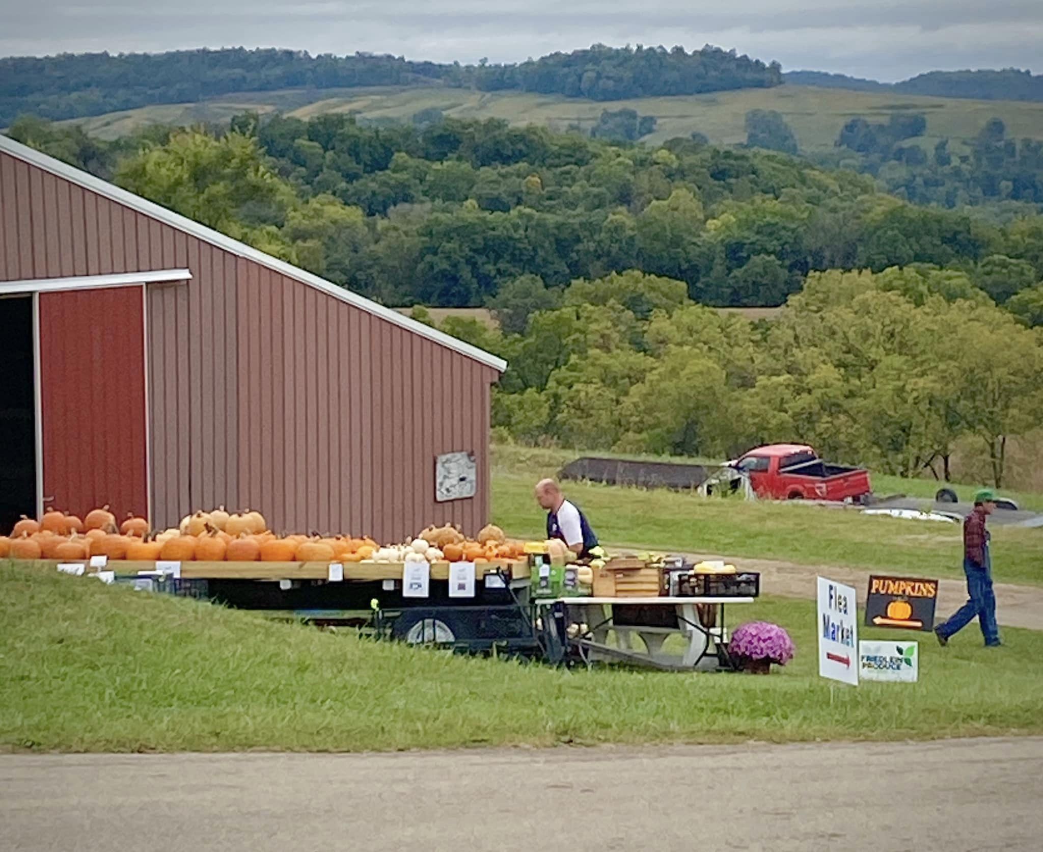 Pumpkin Brandon Friedlien
