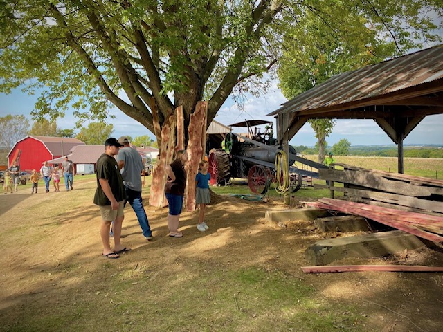 Sawmill 2