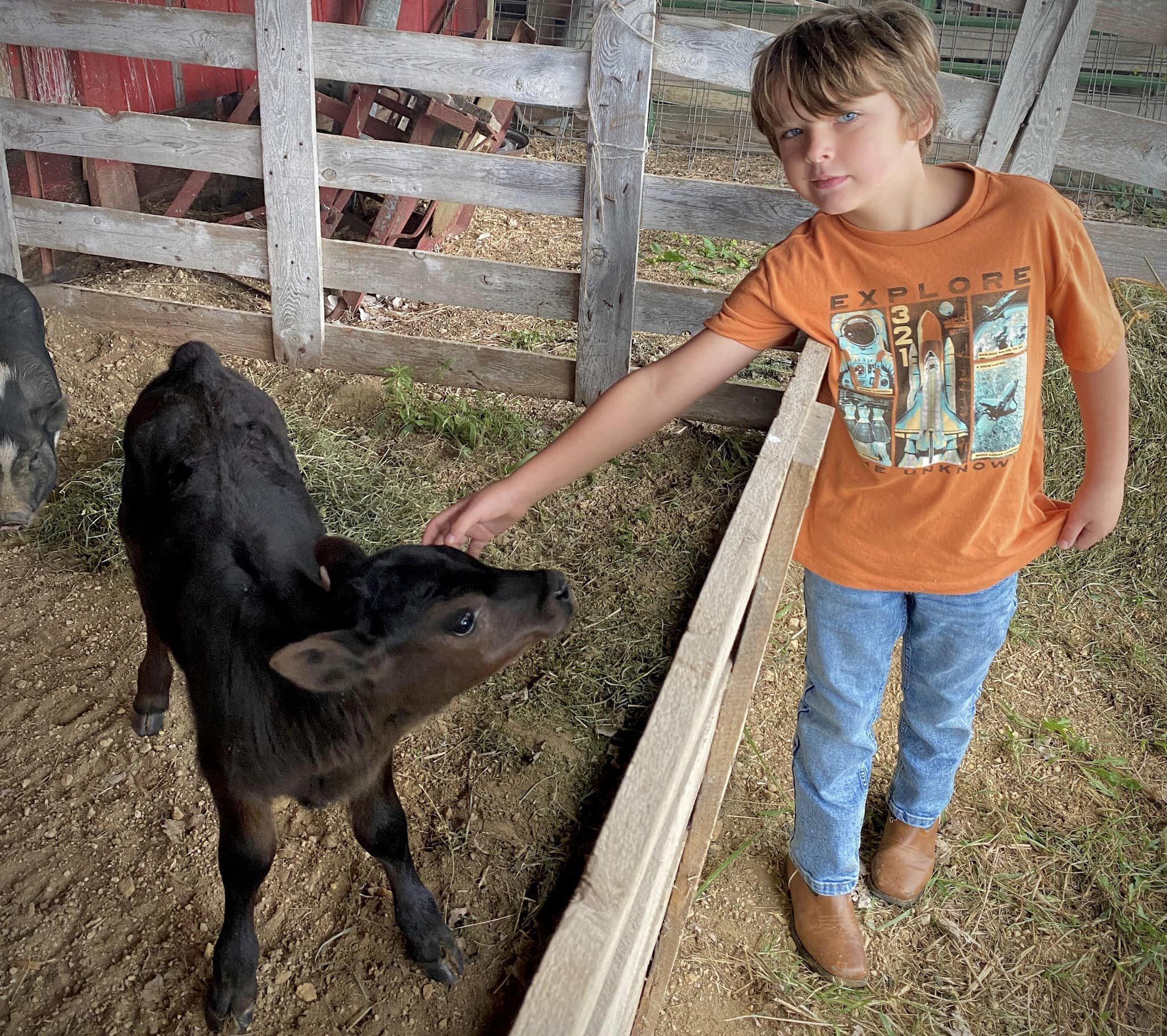 Wiston and calf